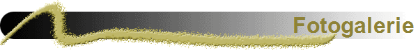 Fotogalerie